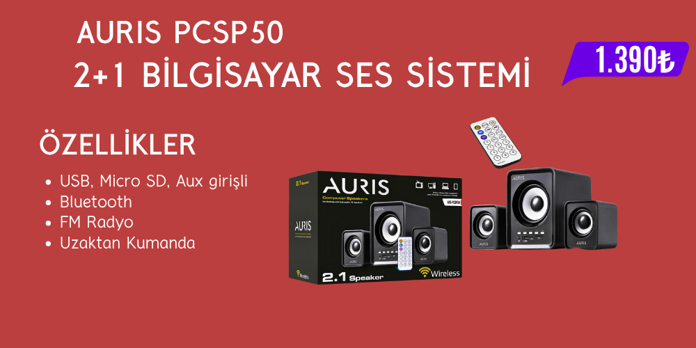 2+1 BİLGİSAYAR SES SİSTEMİ